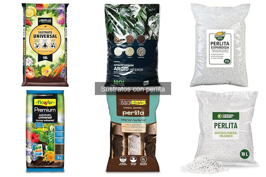 Plantas que prosperan en sustratos con perlita: guía esencial