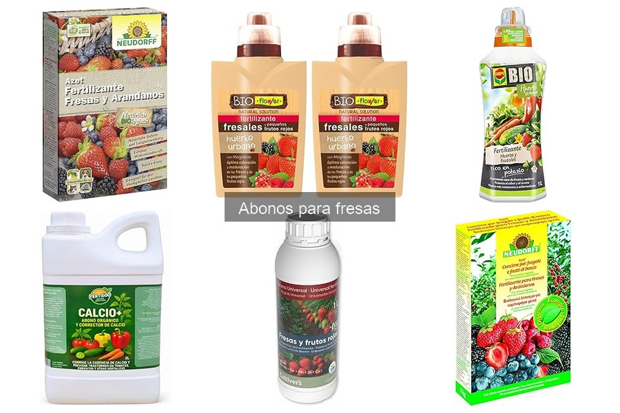 ¿Por qué mis fresas no crecen? Causas y soluciones efectivas