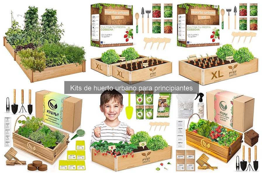 Precio promedio de kits de huerto urbano para principiantes