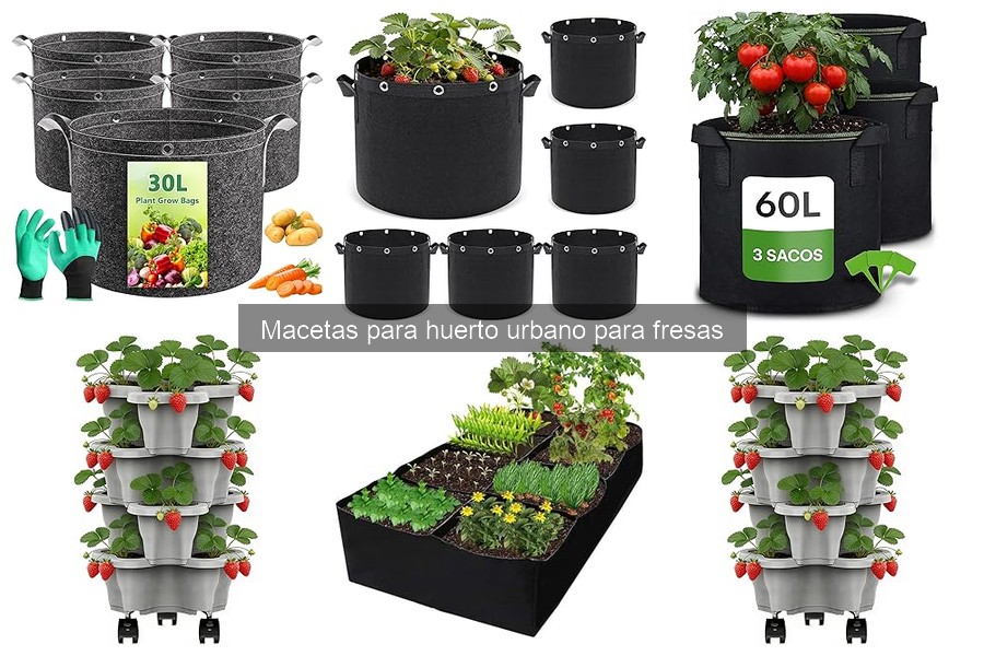 Precio promedio de macetas para fresas en Amazon