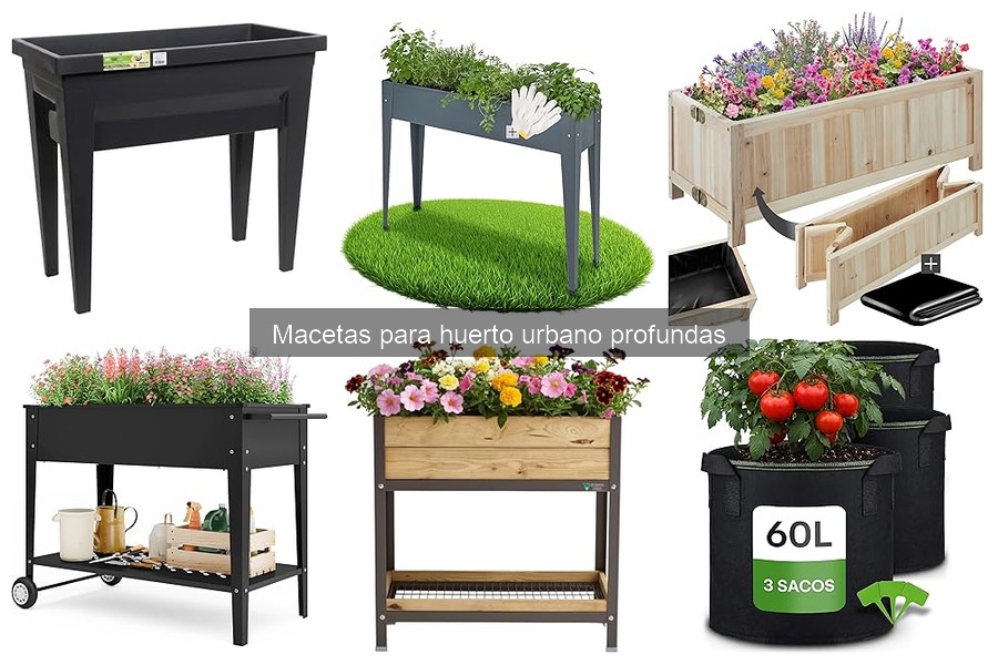 Precio promedio de macetas profundas para huerto urbano