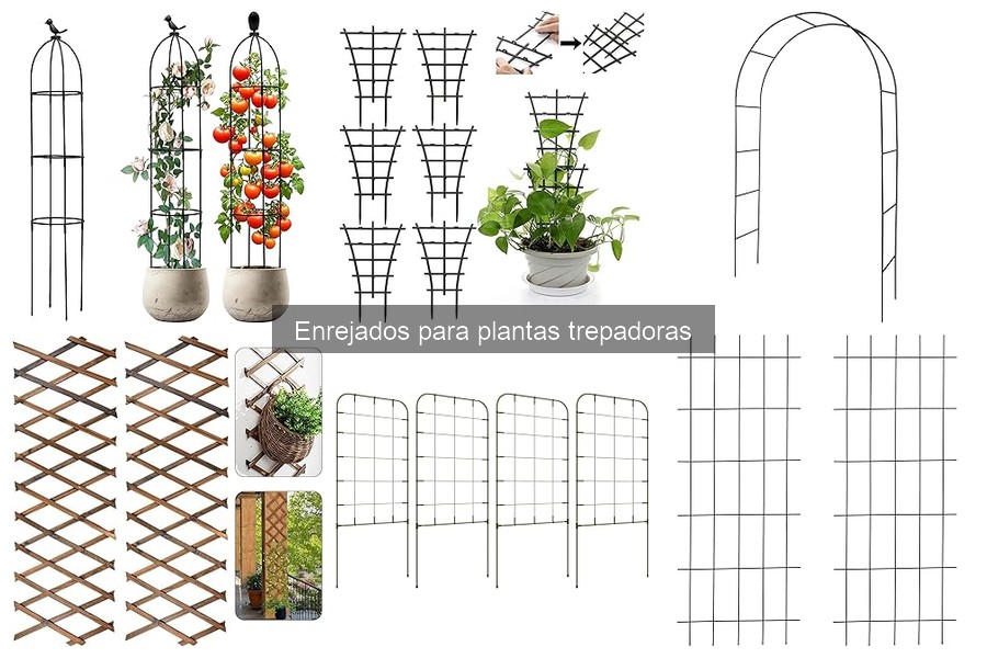Precios de Enrejados para Plantas Trepadoras: Análisis y Comparativa