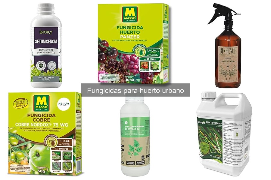 Precios de fungicidas para huertos urbanos y dónde comprarlos