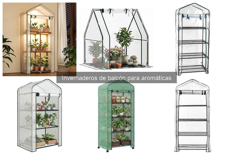 Precios de invernaderos de balcón para aromáticas