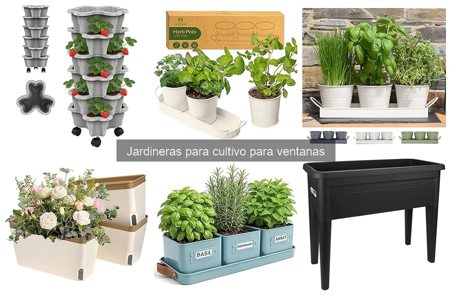 Precios de jardineras para cultivo en ventanas y dónde comprarlas