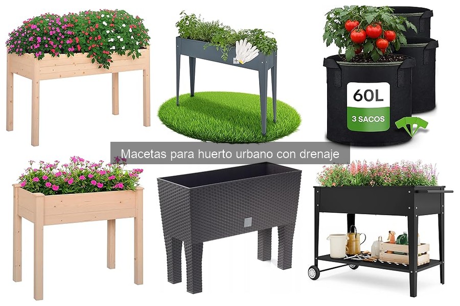 Precios de Macetas con Drenaje y Dónde Comprarlas