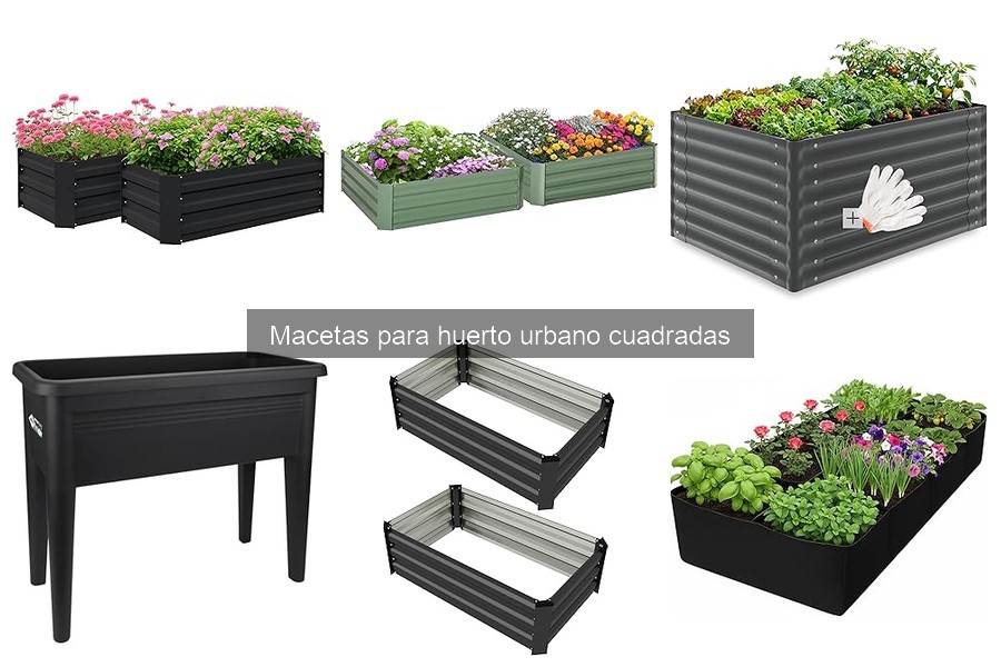 Precios de Macetas Cuadradas para Huerto Urbano y Dónde Comprarlas
