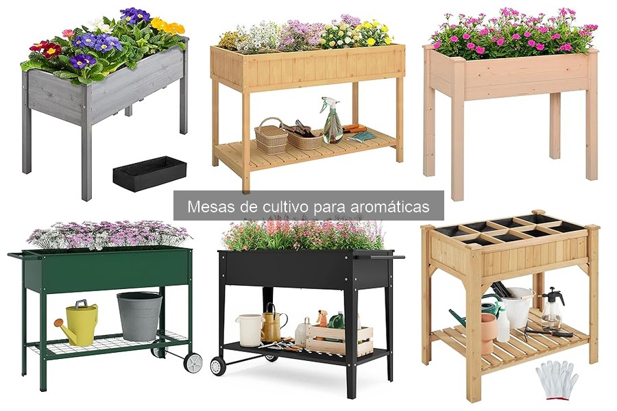Precios de mesas de cultivo para aromáticas: guía y comparativa