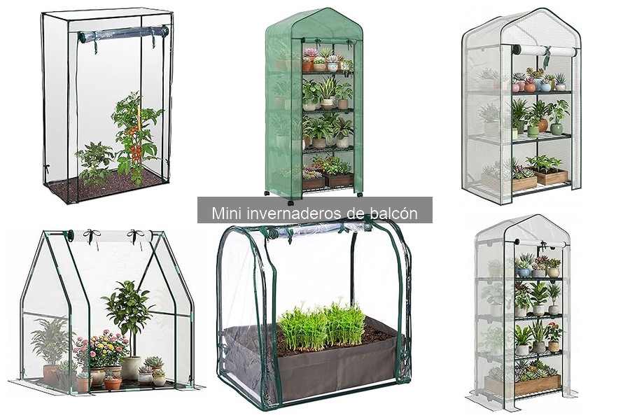 Precios de mini invernaderos de balcón en Amazon: guía 2023
