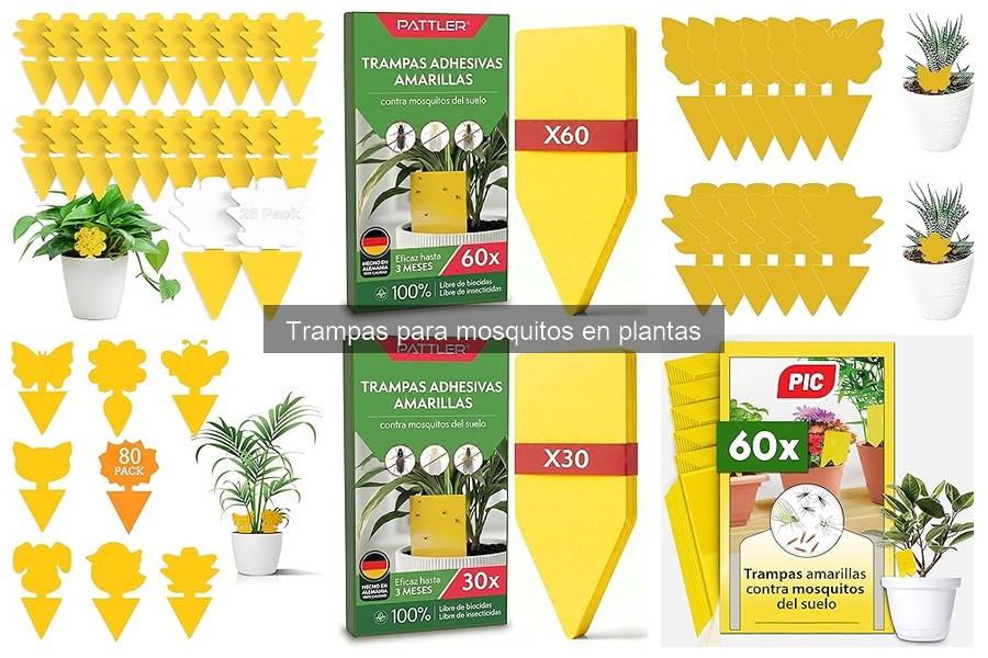 Precios de trampas para mosquitos en plantas: guía actualizada
