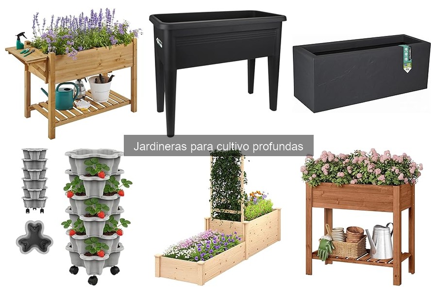 Precios y Dónde Comprar Jardineras Profundas Económicas