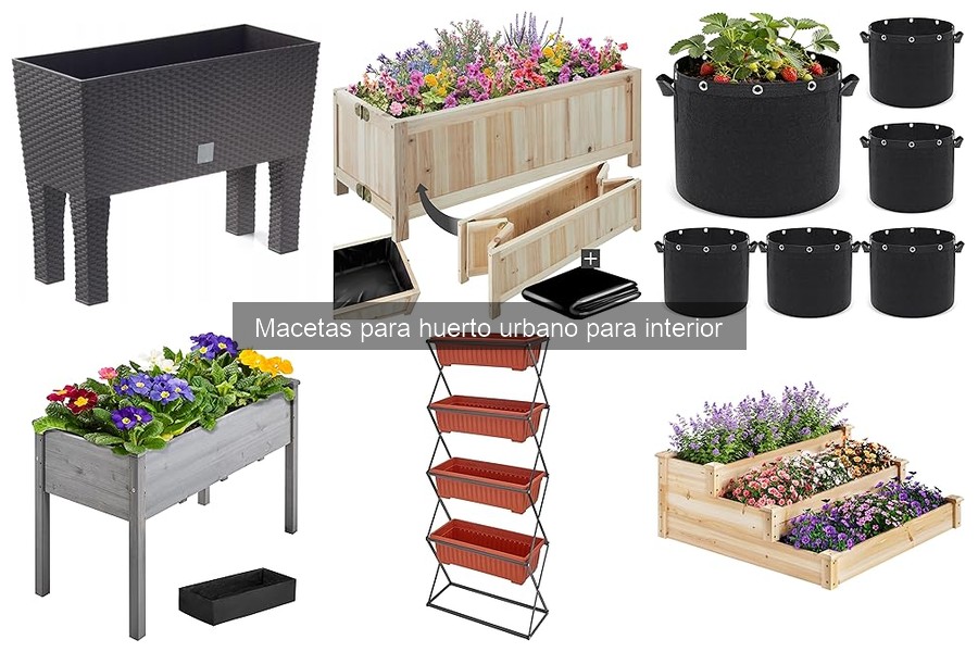 Precios y dónde comprar macetas para huerto urbano interior