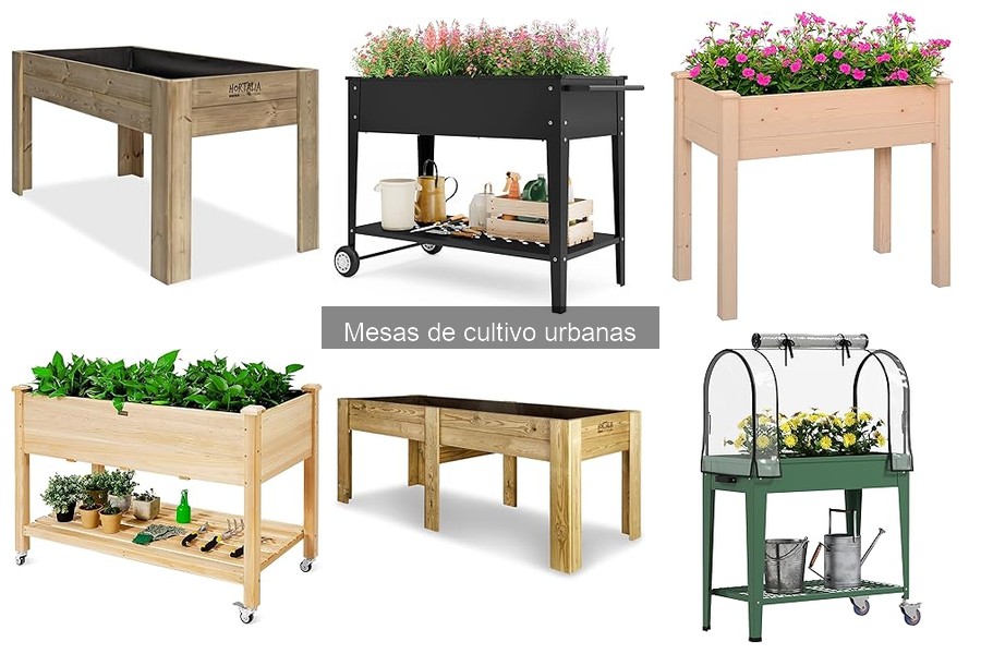 Precios y Dónde Comprar Mesas de Cultivo Urbanas