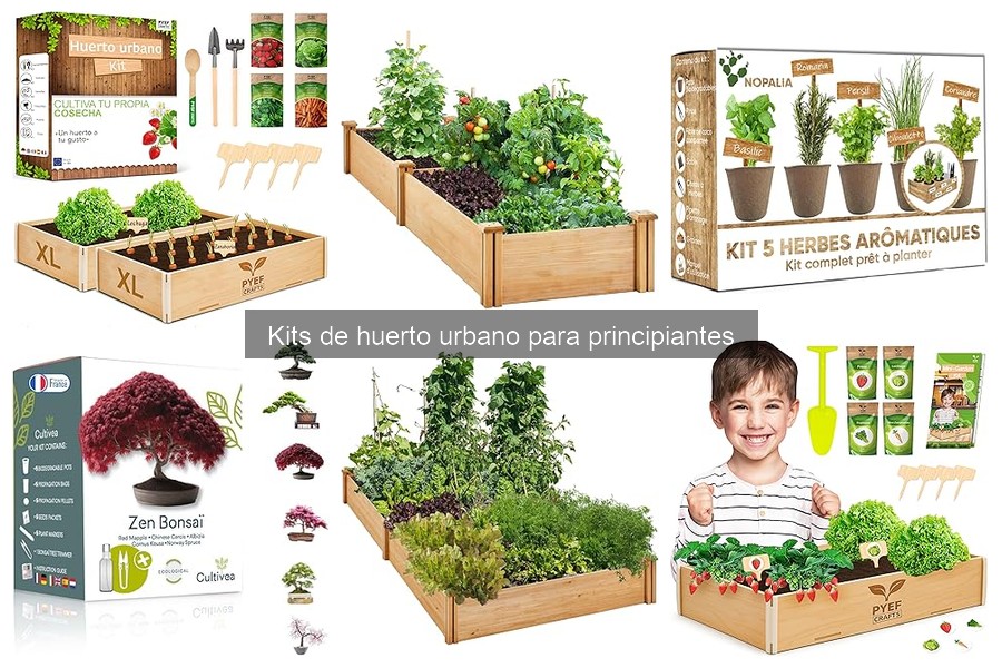 Preguntas Frecuentes sobre Kits de Huerto Urbano para Principiantes