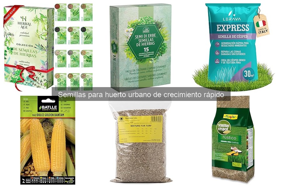 Problemas comunes al cultivar semillas de crecimiento rápido