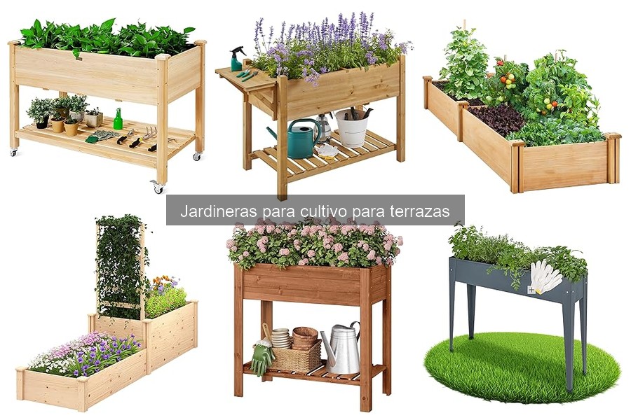 Problemas comunes al usar jardineras en terrazas y soluciones