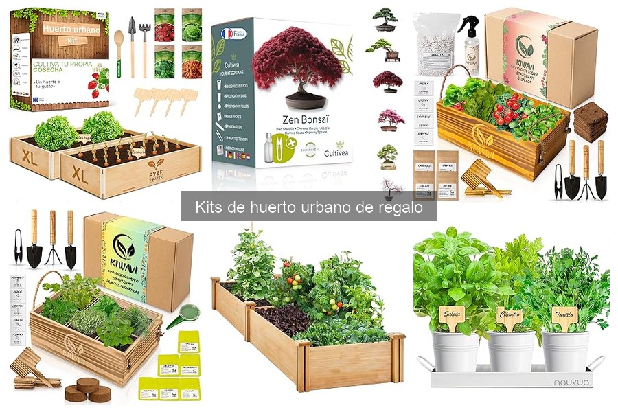 ** Problemas comunes al usar kits de huerto urbano y soluciones