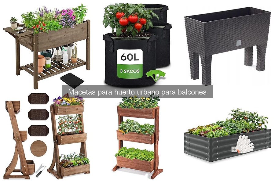 Problemas Comunes al Usar Macetas en Balcones