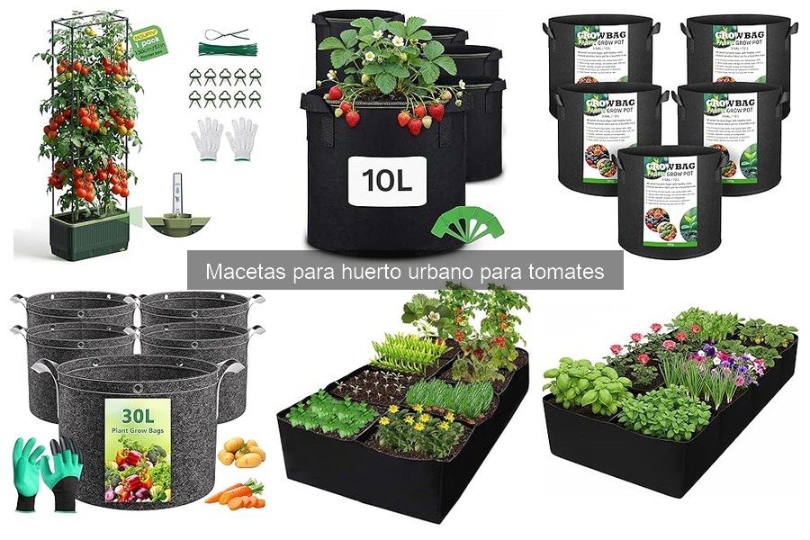Problemas comunes al usar macetas para tomates y soluciones