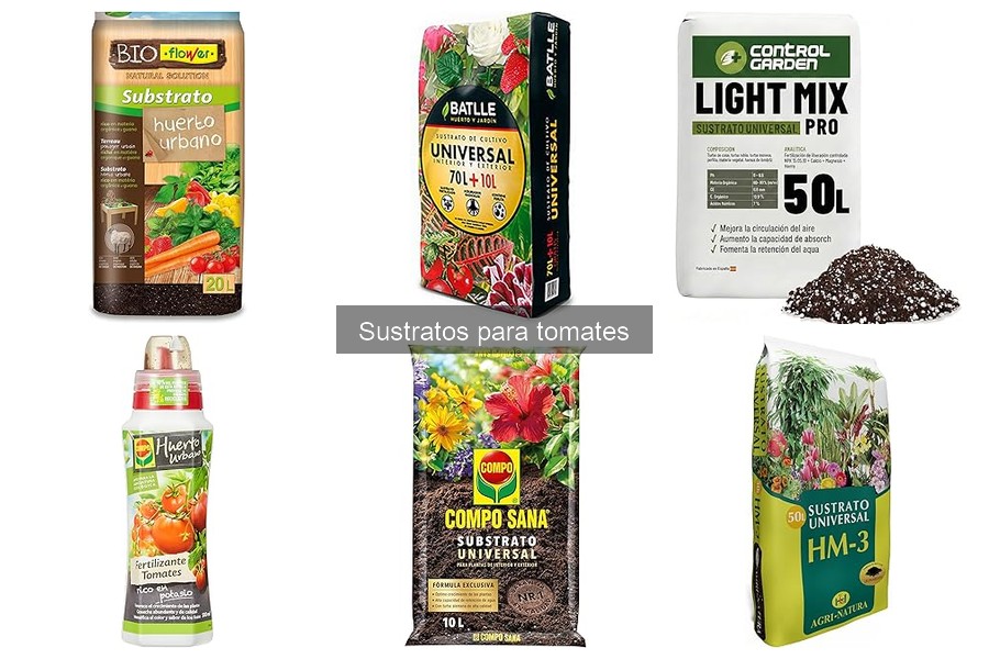 Problemas comunes al usar sustratos para tomates en tu huerto