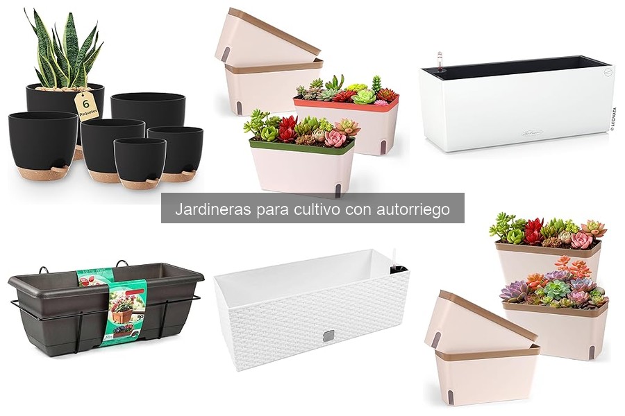 Problemas comunes con jardineras de autorriego y sus soluciones