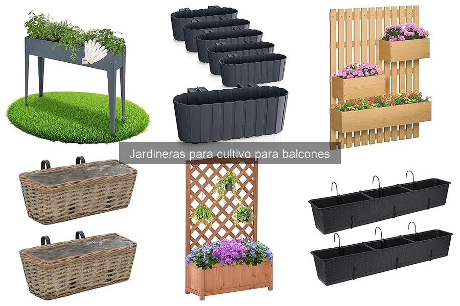Problemas Comunes con Jardineras en Balcones y Soluciones