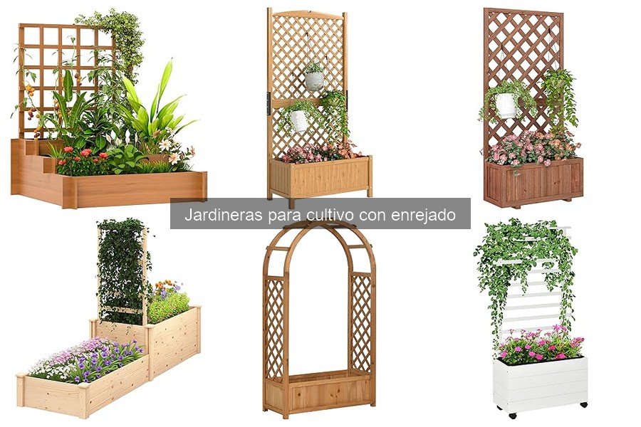 Problemas comunes con jardineras enrejadas y soluciones