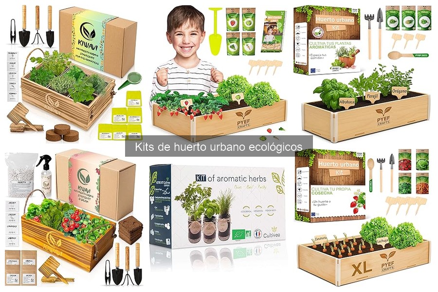 Problemas comunes con kits de huerto urbano ecológicos