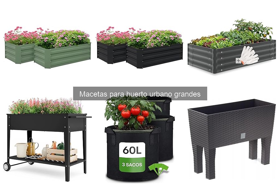 Problemas comunes con macetas grandes y cómo solucionarlos