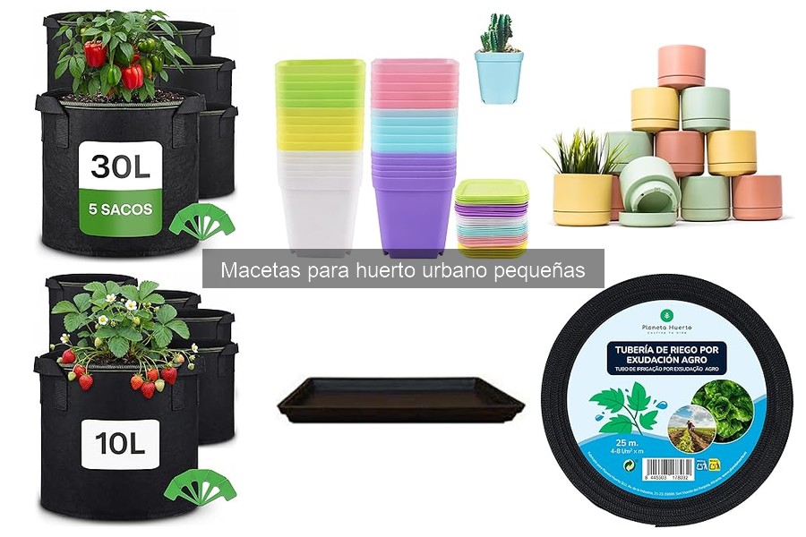 Problemas comunes con macetas pequeñas y sus soluciones