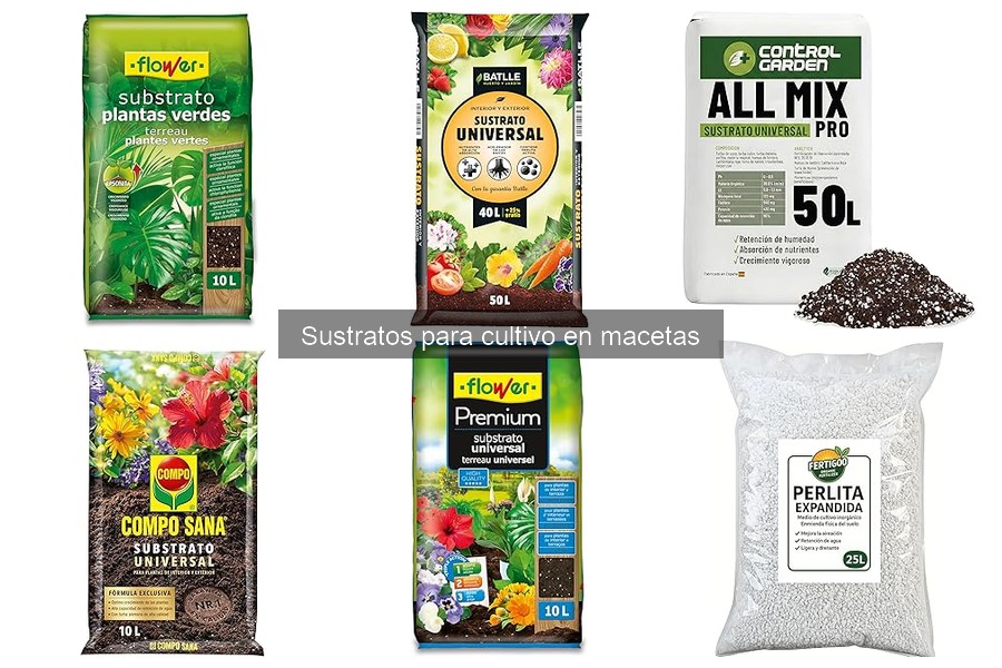Problemas comunes con sustratos para cultivo en macetas