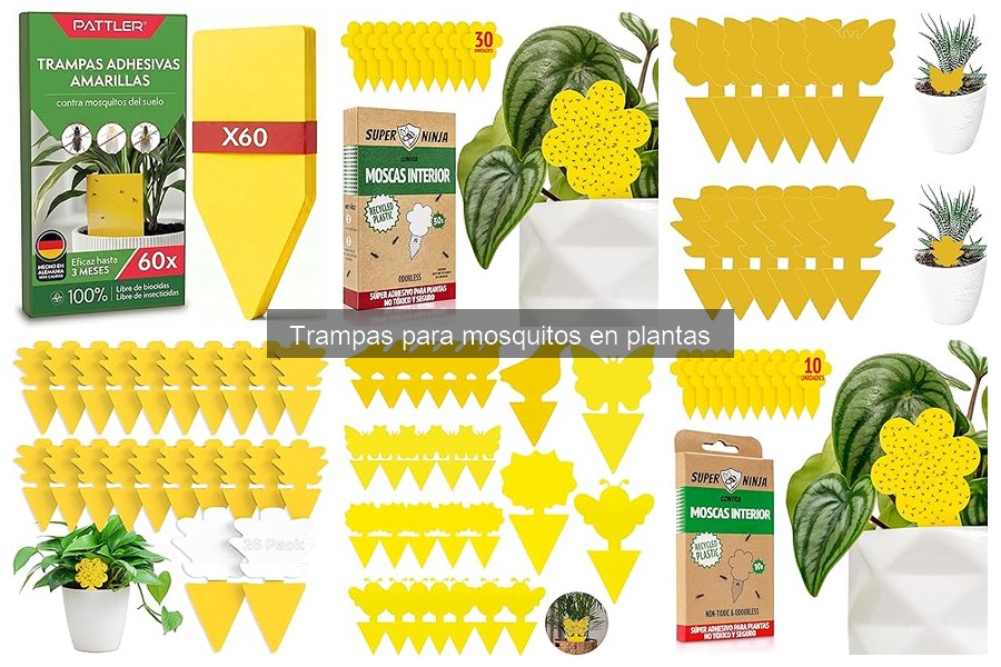 Problemas Comunes con Trampas para Mosquitos en Plantas