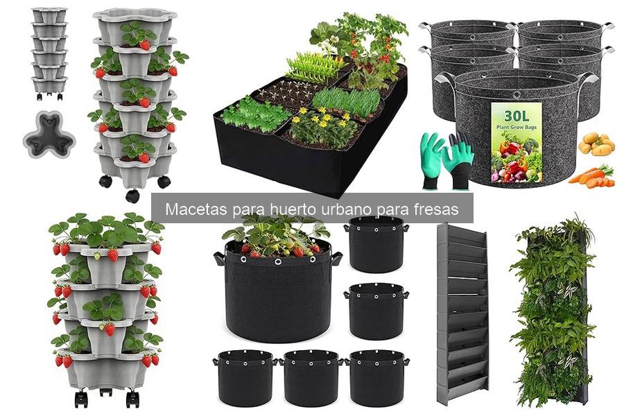 Problemas comunes en el cultivo de fresas en macetas
