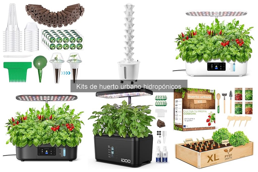 Problemas comunes en kits de huerto urbano hidropónico