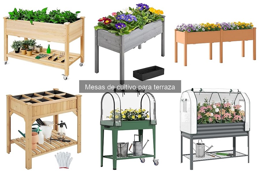 Problemas comunes en mesas de cultivo y cómo solucionarlos