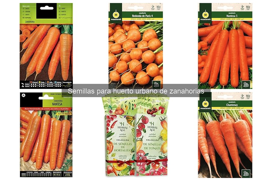 Prolonga la Cosecha de Zanahorias en Casa: Consejos Útiles