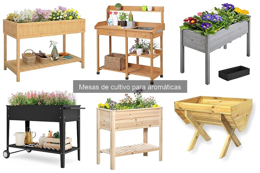 Protege tus mesas de cultivo para aromáticas de plagas y enfermedades