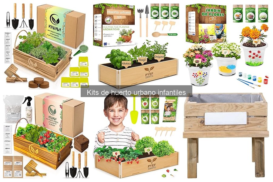 ¿Qué buscar al elegir un kit de huerto urbano infantil?