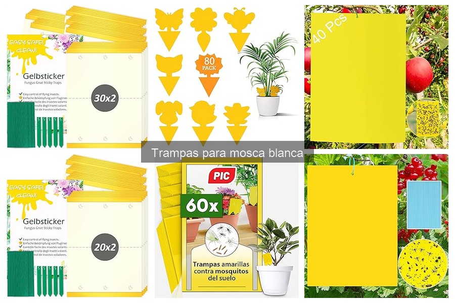 ¿Qué es la mosca blanca y cómo afecta a tus plantas?