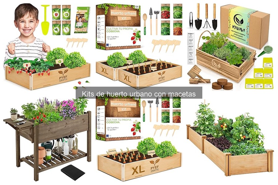 ¿Qué es un kit de huerto urbano con macetas? Beneficios y componentes