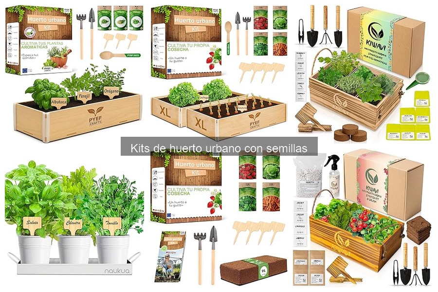 ¿Qué es un kit de huerto urbano con semillas?