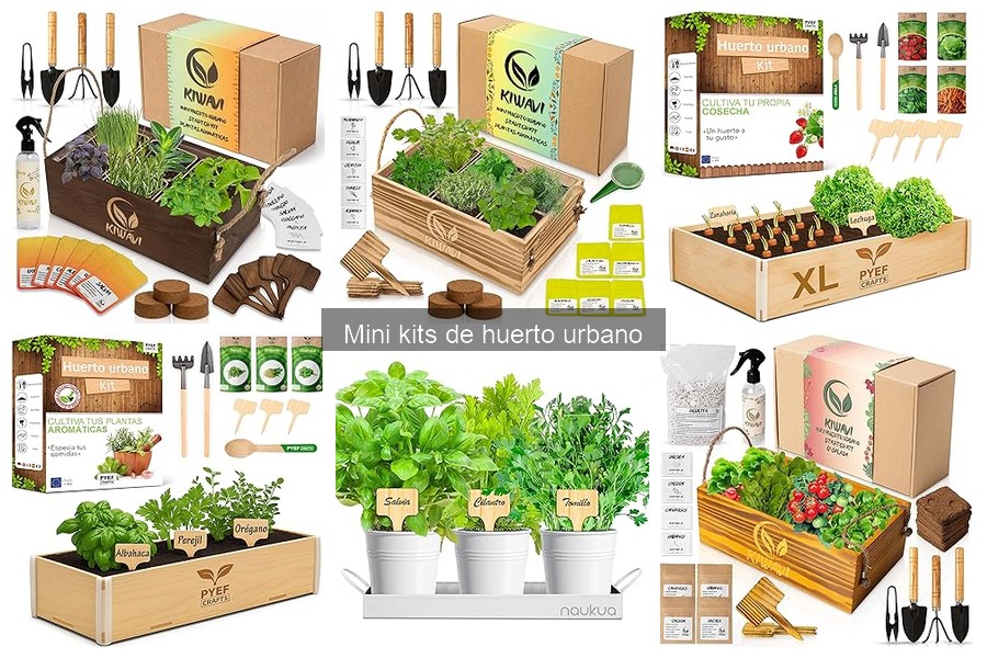¿Qué es un mini kit de huerto urbano? Guía y componentes