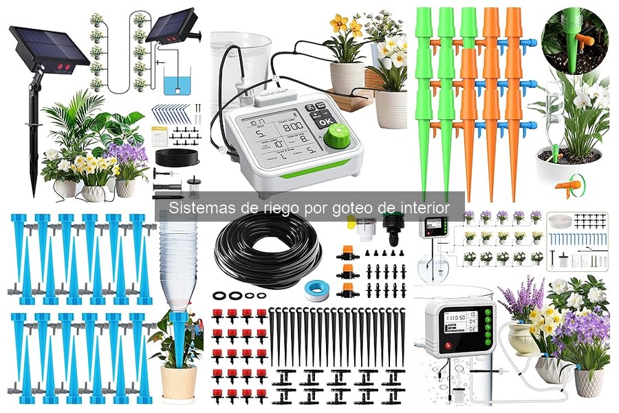 Qué es un sistema de riego por goteo de interior