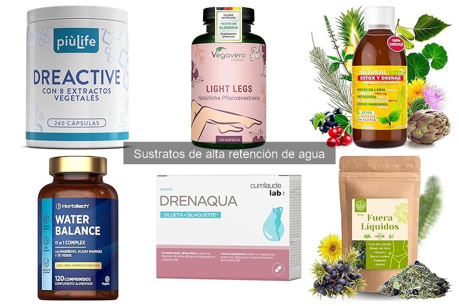 ¿Qué es un Sustrato de Alta Retención de Agua?