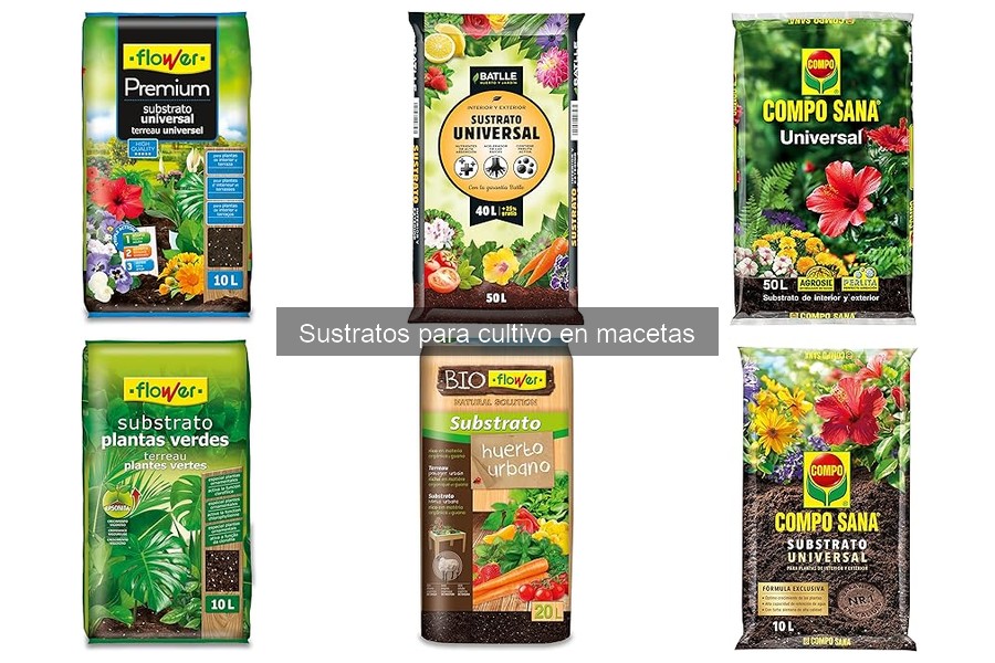 ¿Qué es un sustrato para cultivo en macetas? Descúbrelo aquí