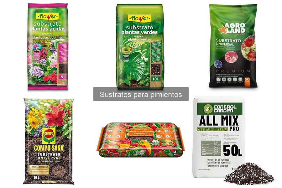 ¿Qué es un sustrato para pimientos? Guía y beneficios