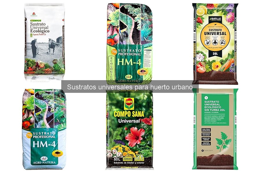 ¿Qué es un sustrato universal y cómo usarlo en tu huerto?