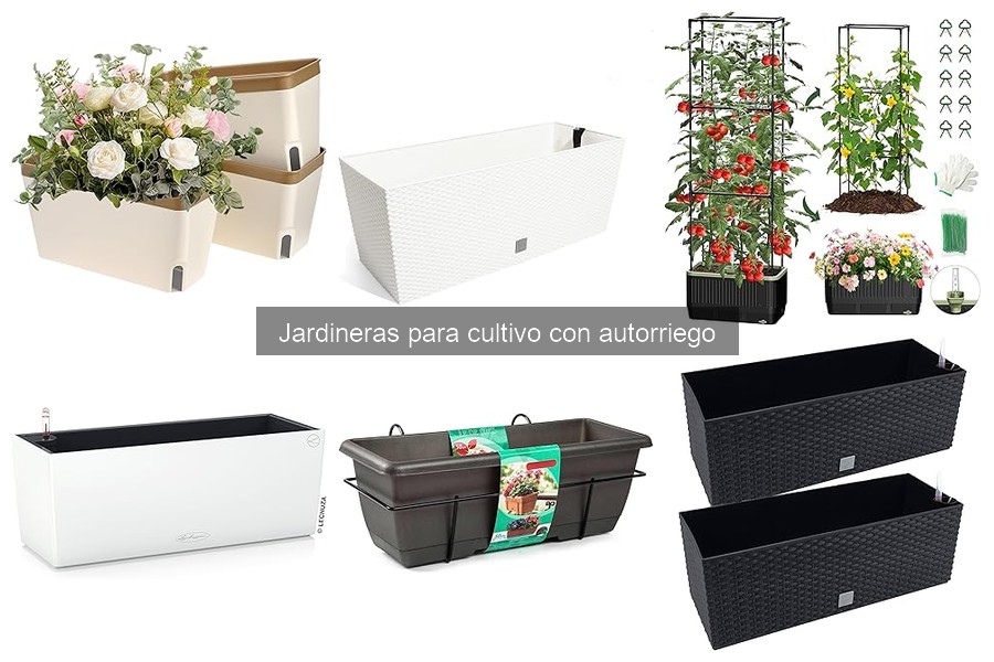 ¿Qué es una jardinera con autorriego? Descubre sus beneficios