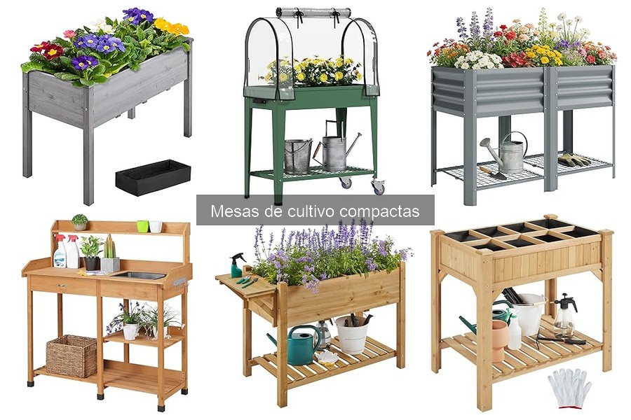 ¿Qué es una mesa de cultivo compacta? Descubre sus ventajas
