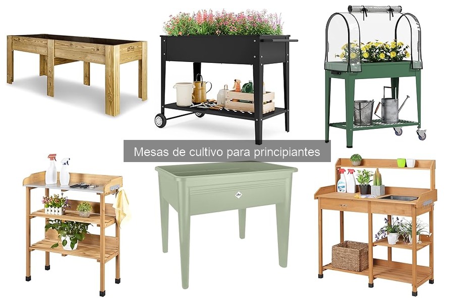 ¿Qué es una mesa de cultivo? Guía para principiantes